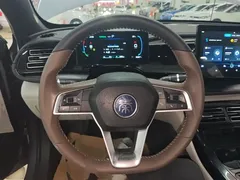 2024 BYD Qin PLUS Honor DM-i PHEV 55km Leading — фото 11