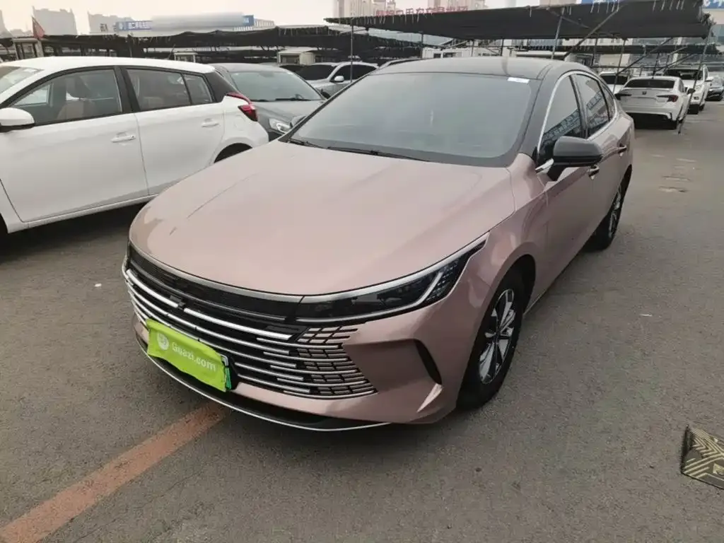 2024 BYD Destroyer 05 DM-i PHEV 55km Luxury