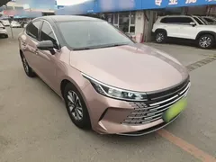 2024 BYD Destroyer 05 DM-i PHEV 55km Luxury, чёрный — фото 4