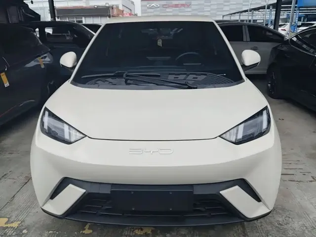 2023 BYD Seagull Freedom