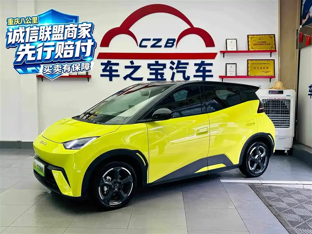 2023 BYD Seagull Freedom