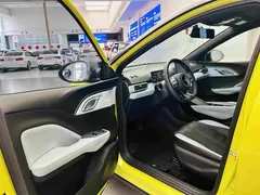 2023 BYD Seagull Freedom, зелёный — фото 21