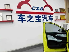 2023 BYD Seagull Freedom, зелёный — фото 22