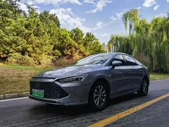 2025 BYD Qin PLUS DM-i PHEV Smart Driving 55km Leading, белый — фото 1