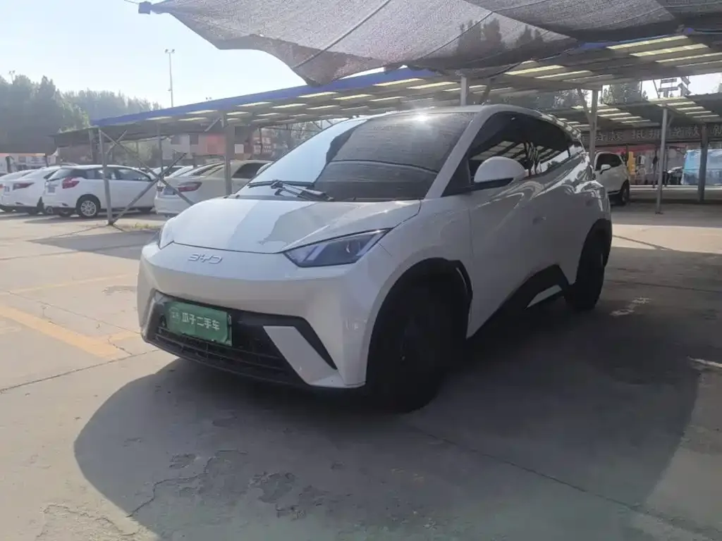 2025 BYD Seagull 305km Vitality