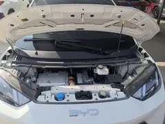 2025 BYD Seagull 305km Vitality, белый — фото 20