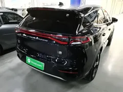 2023 BYD Tang DM-i PHEV 112KM Champion Premium, чёрный — фото 7