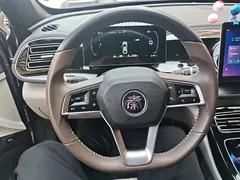 2023 BYD Qin PLUS Champion DM-i PHEV 55km Exceed — фото 11