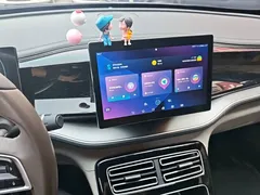 2023 BYD Qin PLUS Champion DM-i PHEV 55km Exceed — фото 13