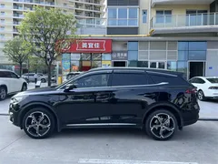 2021 BYD Tang DM-i PHEV 112km Premium, чёрный — фото 3