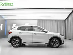 2024 BYD Yuan PLUS EV 510km Honor Superior — фото 3