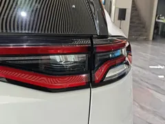 2023 BYD Tang DM-i PHEV Champion 112km Premium, белый — фото 10