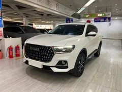 2023 Haval H6 1.5T AT Guochao Urban, белый — фото 1