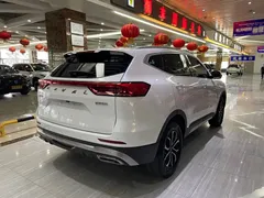 2023 Haval H6 1.5T AT Guochao Urban, белый — фото 6