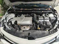 2022 Toyota Vios 1.5L 20th Anniversary, белый — фото 10