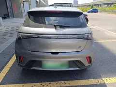 2023 BYD Dolphin 420km Fashion — фото 6