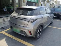 2023 BYD Dolphin 420km Fashion — фото 7