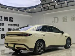 2025 BYD Seal 06 EV 470km Premium — фото 14