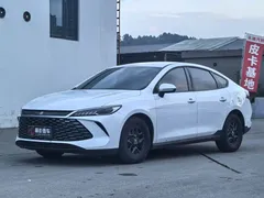 2025 BYD Qin PLUS DM-i PHEV Smart Driving 55km Leading, белый — фото 4