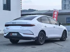 2025 BYD Qin PLUS DM-i PHEV Smart Driving 55km Leading, белый — фото 5
