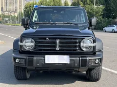 2021 Tank 300 Off-road 2.0T Conqueror, чёрный — фото 1