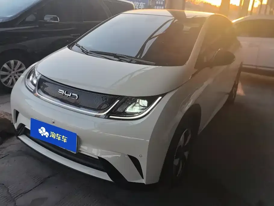 2024 BYD Dolphin Honor 420km Fashion