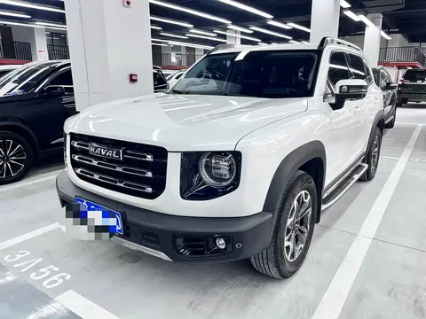 2022 Haval Dargo 2.0T DCT 4WD Chinese Rural Dog Edition