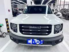 2022 Haval Dargo 2.0T DCT 4WD Chinese Rural Dog Edition, белый — фото 2
