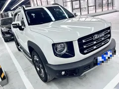 2022 Haval Dargo 2.0T DCT 4WD Chinese Rural Dog Edition, белый — фото 3