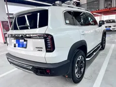 2022 Haval Dargo 2.0T DCT 4WD Chinese Rural Dog Edition, белый — фото 16