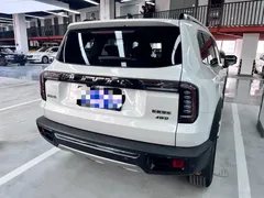 2022 Haval Dargo 2.0T DCT 4WD Chinese Rural Dog Edition, белый — фото 17