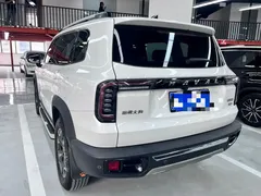 2022 Haval Dargo 2.0T DCT 4WD Chinese Rural Dog Edition, белый — фото 18