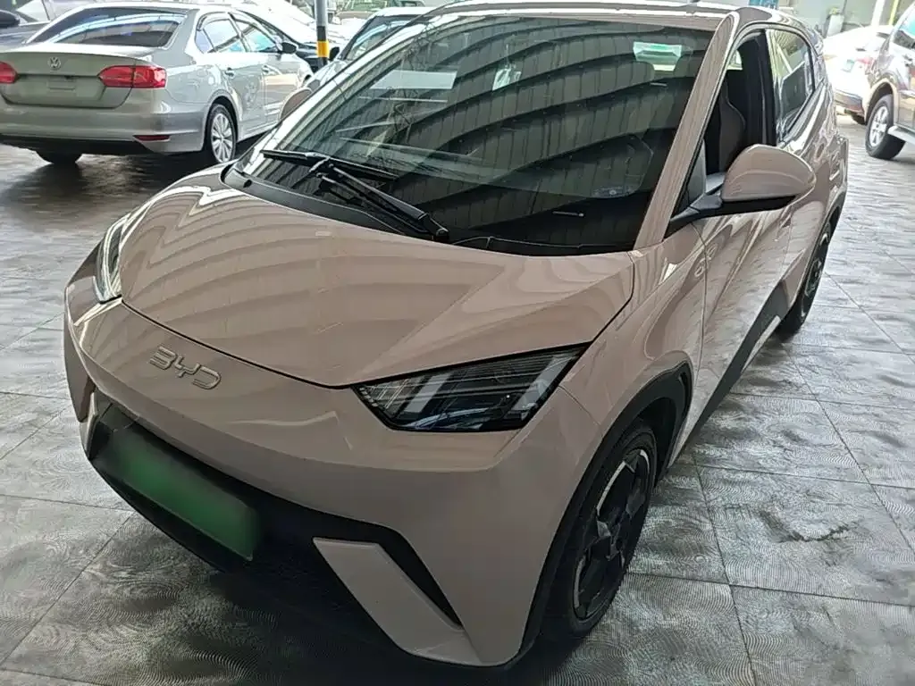 2024 BYD Seagull EV 305km Honor Freedom