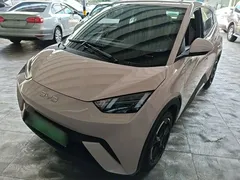 2024 BYD Seagull EV 305km Honor Freedom — фото 1