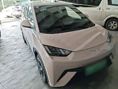 2024 BYD Seagull EV 305km Honor Freedom — фото 4