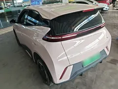 2024 BYD Seagull EV 305km Honor Freedom — фото 5