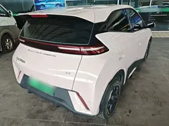 2024 BYD Seagull EV 305km Honor Freedom — фото 7