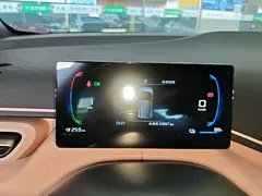 2024 BYD Seagull EV 305km Honor Freedom — фото 12