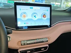 2024 BYD Seagull EV 305km Honor Freedom — фото 13