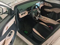 2024 BYD Seagull EV 305km Honor Freedom — фото 16