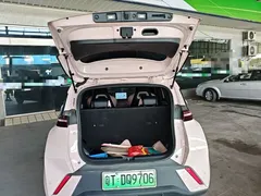 2024 BYD Seagull EV 305km Honor Freedom — фото 19