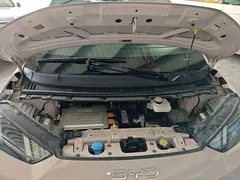 2024 BYD Seagull EV 305km Honor Freedom — фото 20