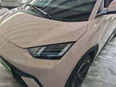 2024 BYD Seagull EV 305km Honor Freedom — фото 24