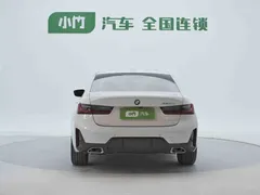 2023 BMW 3 Series 320Li M Sport Package, белый — фото 8