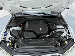 2023 BMW 3 Series 320Li M Sport Package, белый — фото 14
