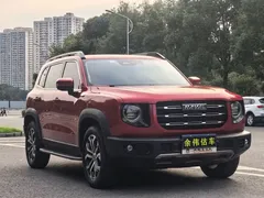 2021 Haval Dargo 1.5T DCT 2WD Border Collie — фото 3