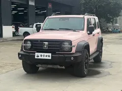 2021 Tank 300 Off-road 2.0T Conqueror — фото 1