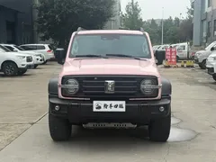 2021 Tank 300 Off-road 2.0T Conqueror — фото 2