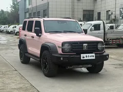 2021 Tank 300 Off-road 2.0T Conqueror — фото 3