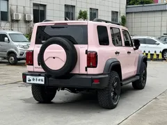 2021 Tank 300 Off-road 2.0T Conqueror — фото 12
